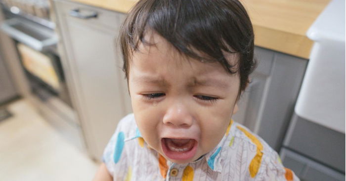Why Toddlers Don’t Take NO for an Answer