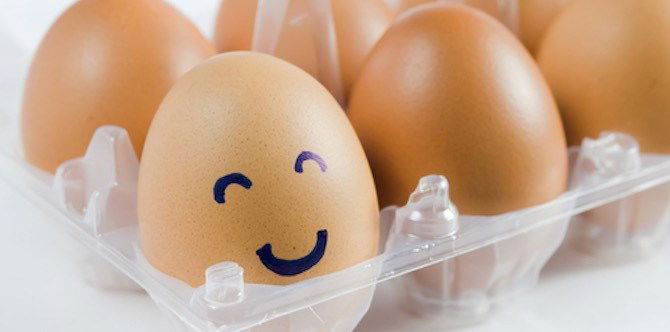 Does an Egg a Day Keeps the Doctor Away?