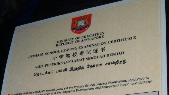 PSLE Results Day 2014 and FAQs from parents