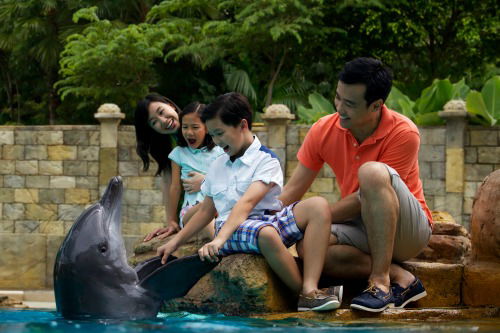 Fancy a date with a dolphin?