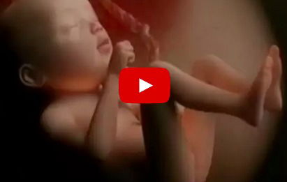 Miracle of life: This video shows exactly how your baby grows during pregnancy