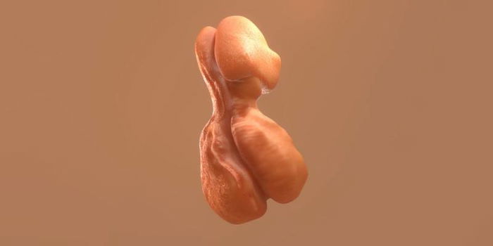 Pregnancy Guide: What You Need to Know at 5 Weeks Pregnant