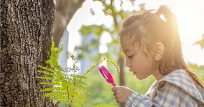 8 Fun and Interesting Ways to Teach Science Concepts for Toddlers
