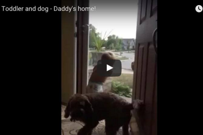 Watch how both baby and dog welcome dad home in the cutest way!
