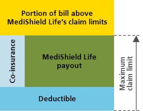 Medishield Life