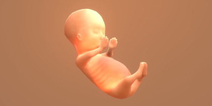 Pregnancy Guide: What You Need to Know at 12 Weeks Pregnant