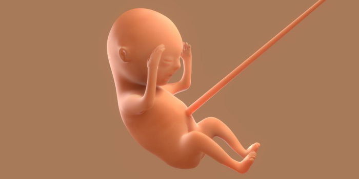 Pregnancy Guide: What You Need to Know at 16 Weeks Pregnant