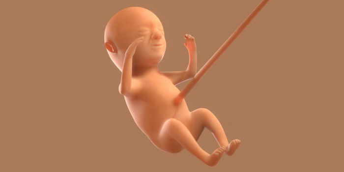 Pregnancy Guide: What You Need to Know at 17 Weeks Pregnant