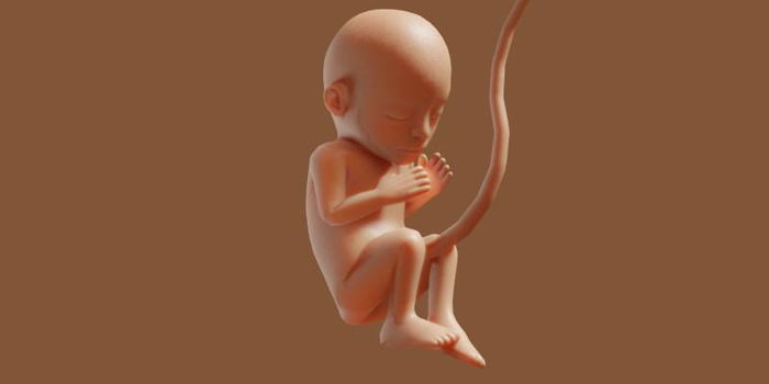 Pregnancy Guide: What You Need to Know at 20 Weeks Pregnant