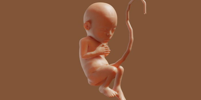 Pregnancy Guide: What You Need to Know at 21 Weeks Pregnant