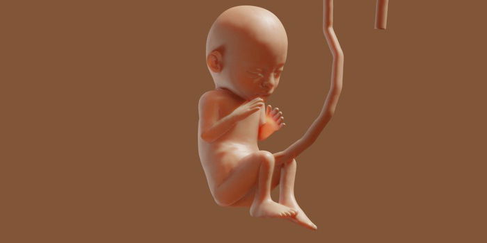Pregnancy Guide: What You Need to Know at 26 Weeks Pregnant