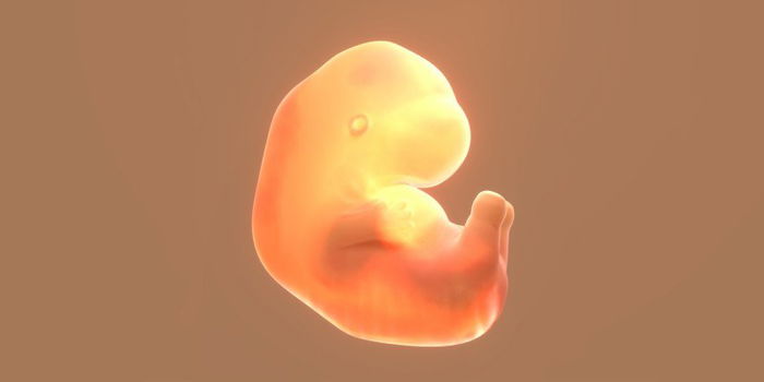 Pregnancy Guide: What You Need to Know at 8 Weeks Pregnant