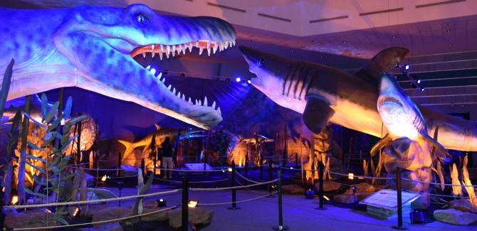 Here's your chance to meet the Monsters Under the Sea