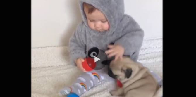 This baby and pug puppy playing is an unbearably cute sight!