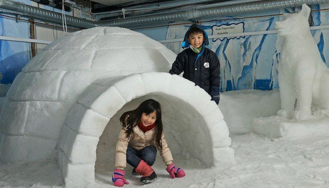 Are you ready for an Arctic Adventure this December?