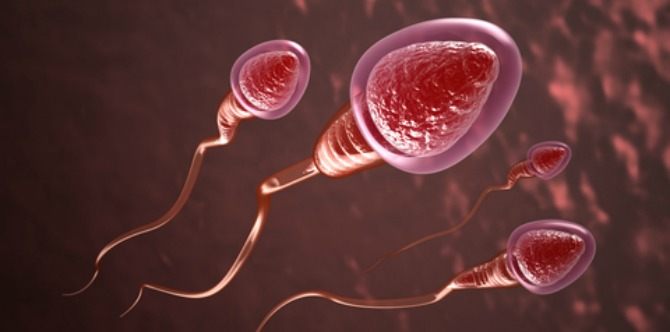 10 fertility myths busted and truths revealed