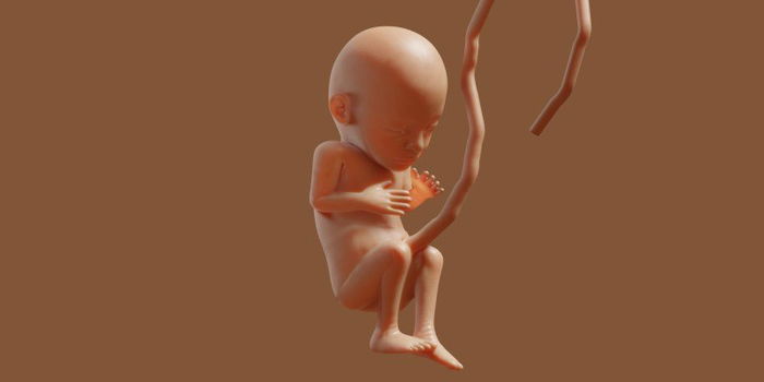 Pregnancy Guide: What You Need to Know at 32 Weeks Pregnant