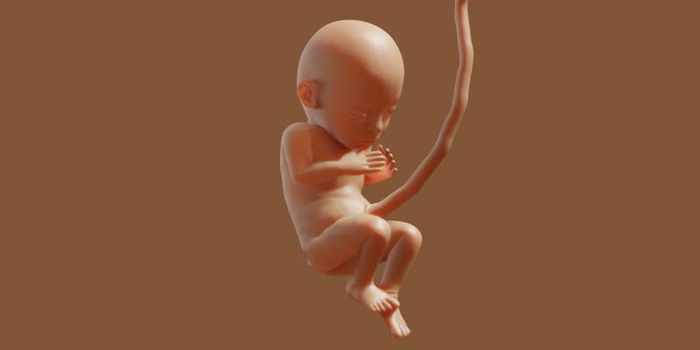 Pregnancy Guide: What You Need to Know at 38 Weeks Pregnant