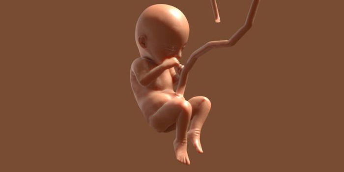 Pregnancy Guide: What You Need to Know at 41 Weeks Pregnant