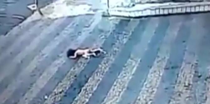 Toddler Falls Face-first from a Second Floor Window, Survives!