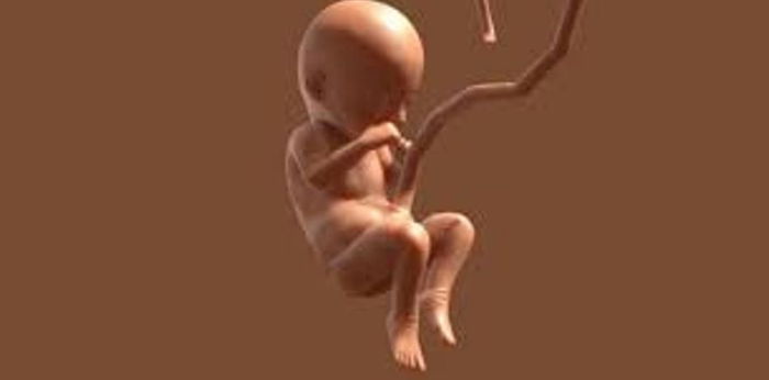 Pregnancy Guide: What You Need to Know at 42 Weeks Pregnant