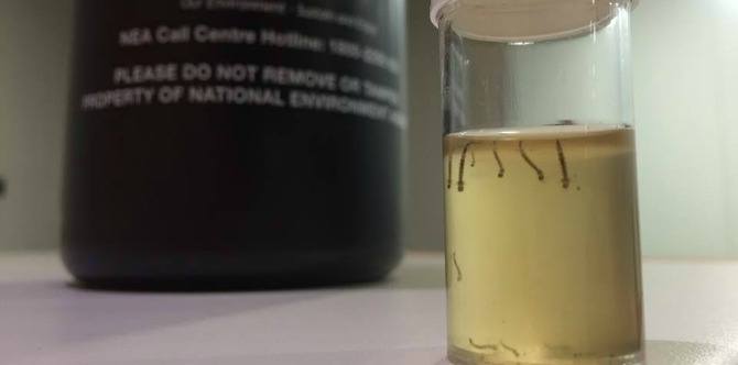 HEALTH ALERT: Why Singaporean parents should be really concerned about dengue this year