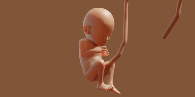 Pregnancy Guide: What You Need to Know at 33 Weeks Pregnant