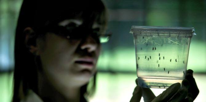 Stay safe: Important tips all pregnant women should know about Zika