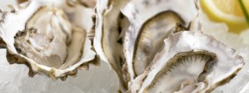 MC-Oysters