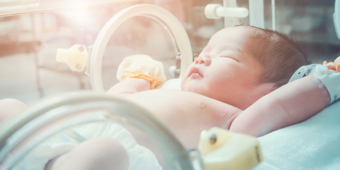 What to Do When Your Baby Is in the NICU: A Survival Guide for Parents