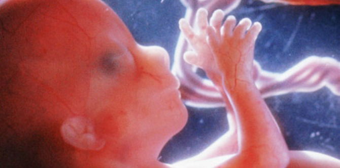 Read This Tearjerking Letter From An Unwanted Baby To Mummy