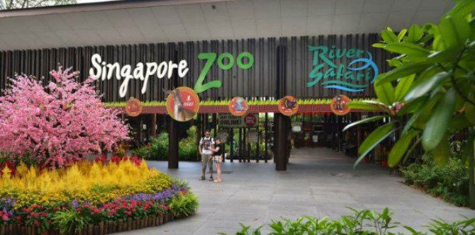 Wildlife Reserves Singapore now has a membership scheme that covers all 4 parks!