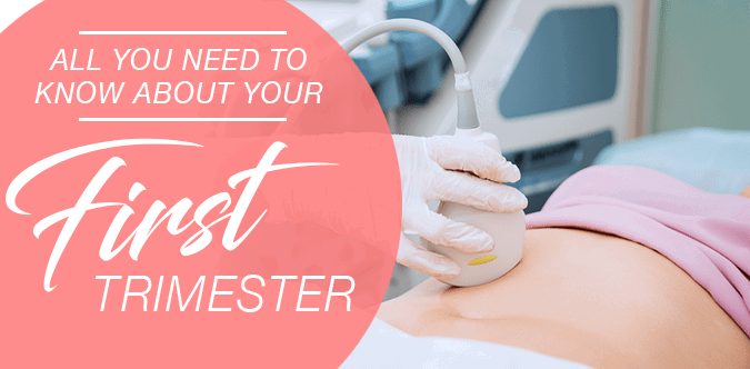 First Trimester: All You Need to Know At the Start of Your Pregnancy Journey