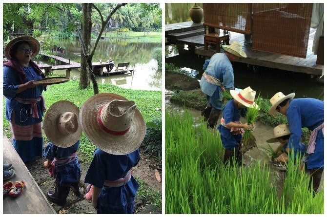chiangmai_1