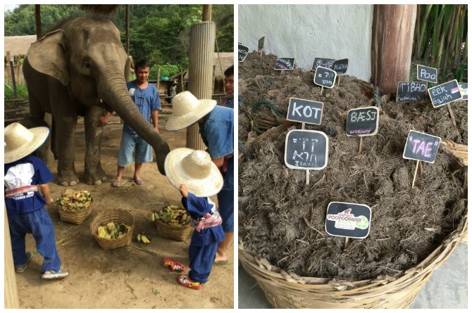 chiangmai_2