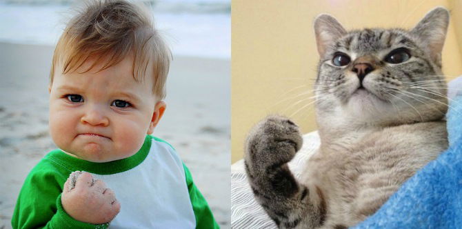 These Funny Pets Will Remind You Of Your Kids And Make You LOL