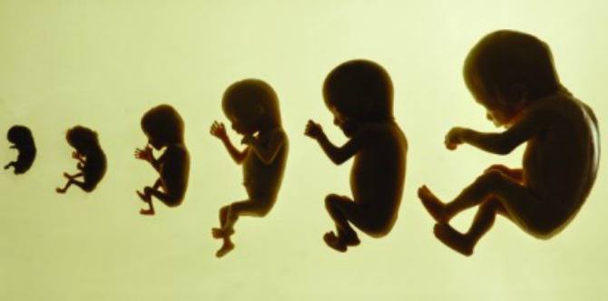 Study: Overweight Mothers May Be Giving Birth to Biologically "Older" Babies