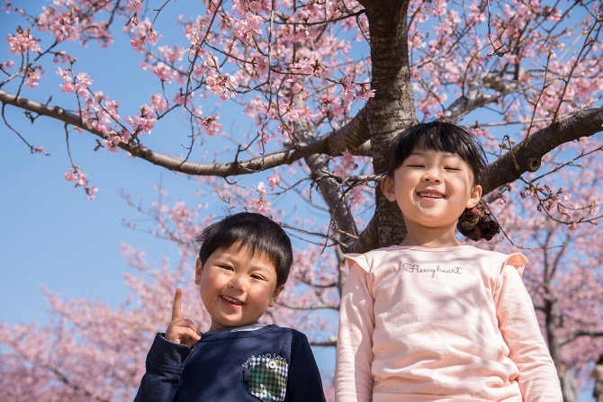 Every parents dream guide to Hokkaido with kids!