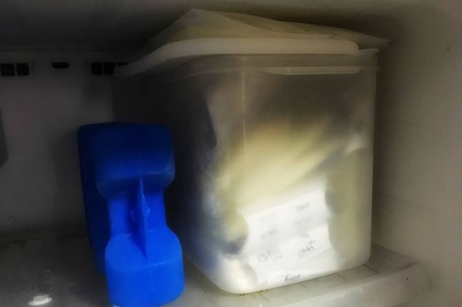 This mum quits the pumping competition and Freezes BM for the baby