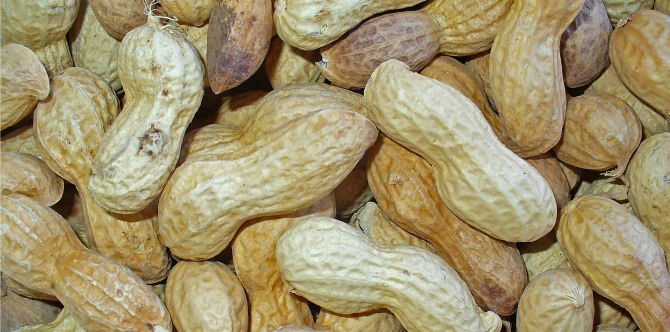 11-year-old's death serves as wake-up call to the dangers of food allergies