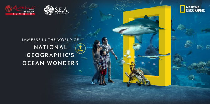 4 Reasons why National Geographic’s Ocean Wonders is a must-SEA!