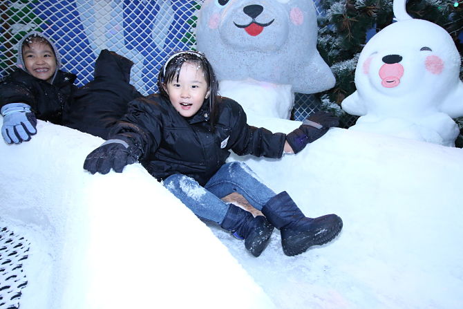 Chill out with these adorable seals at Snow City Singapore, this holidays!