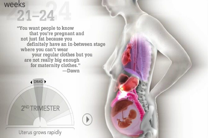 organs move during pregnancy 