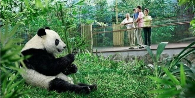 Your child will LOVE mother tongue learning with this new programme