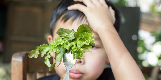 Healthy eating tips for picky eaters