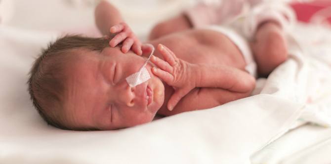 Mother's Immunity Might Play a Significant Role in Preterm Labour and Miscarriages