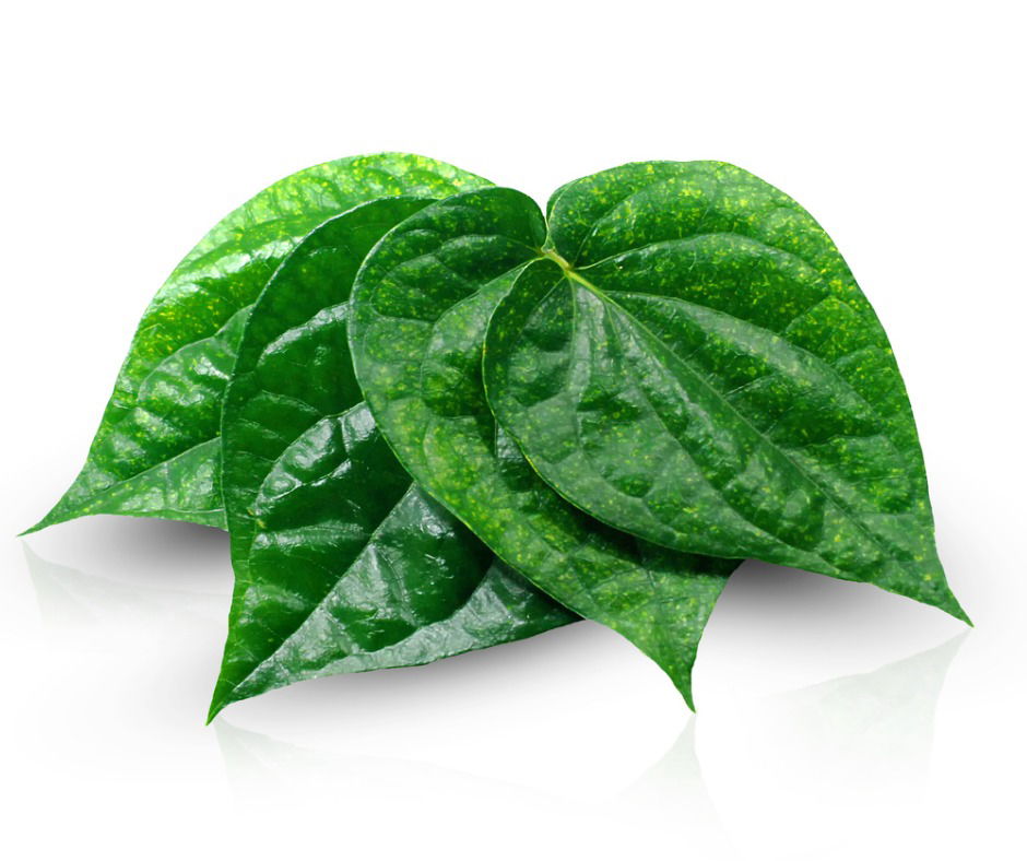 Betel Leaf Home Remedy For Blocked Nose In Children