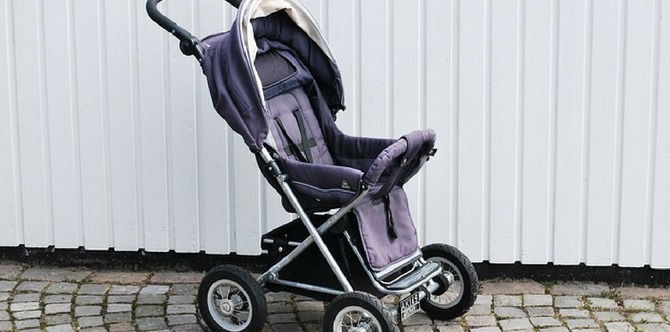 Here Are 9 Things You Must Consider When Buying the Perfect Stroller