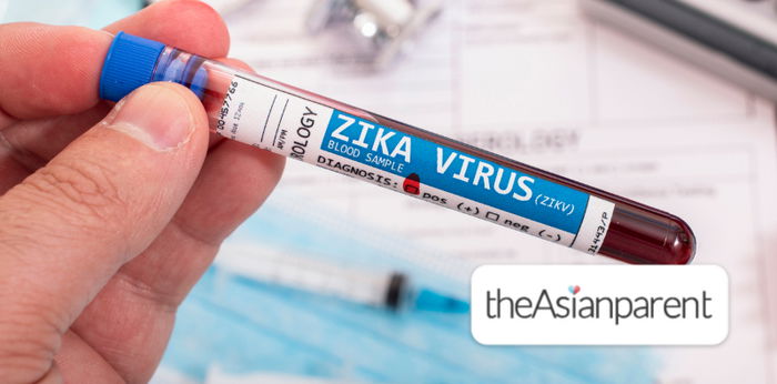 Zika Virus: Everything You Need to Know