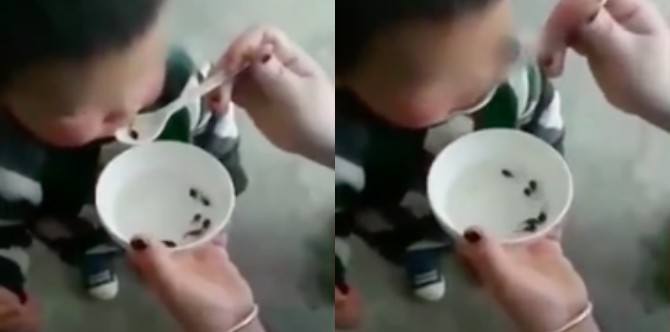 Is feeding kids live tadpoles for good health a fact or a fallacy?